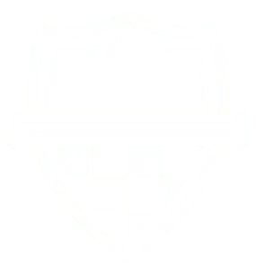 Demo Box Logo Concept icon logo